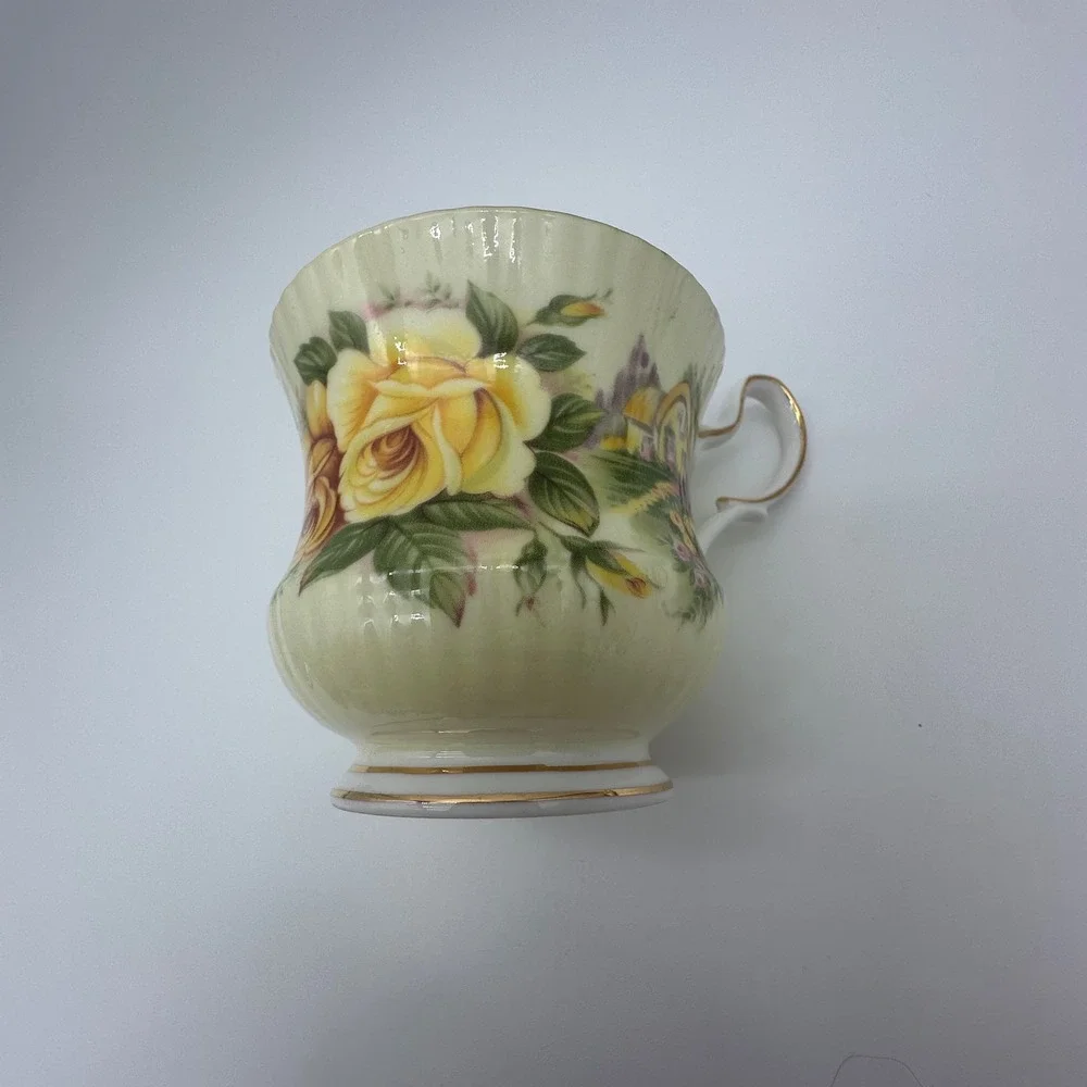 Queen's Rosina Staffordshire Tea Cup Saucer Set Yellow Rose Cottage Bone China